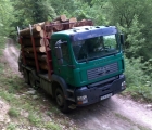 prevozi lesa